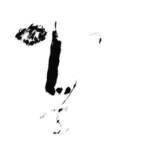 天空上有一只鸟，我学着它的模样