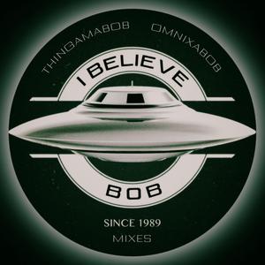 Thingamabob (I Believe Bob Mix)