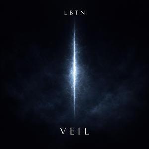 VEIL