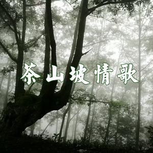拉祜山寨扎稞落