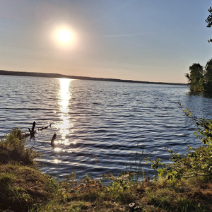 Я не пойму !2026