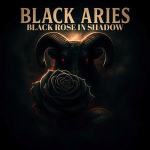 Black Rose in Shadow