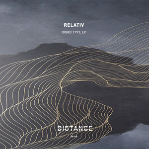 Disko Type (Original Mix)
