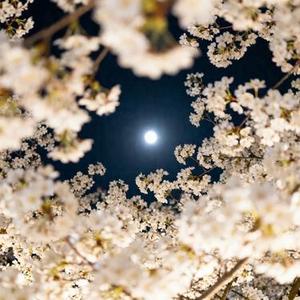 只要你过得比我好 (侧耳倾歌 Remix)