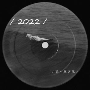 念念（《梦华录》插曲 || cover魏奇奇）