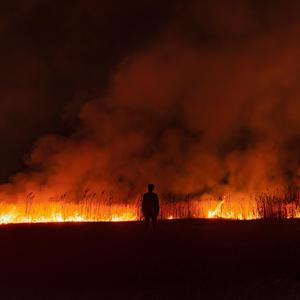 Symptoms of a Lycanthrope