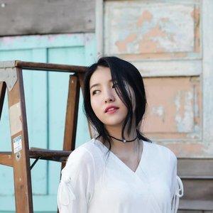 年韶有情（金韶情生贺歌）