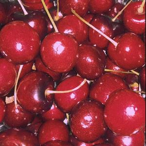 告诉我你爱我吧