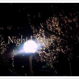 Night Flower