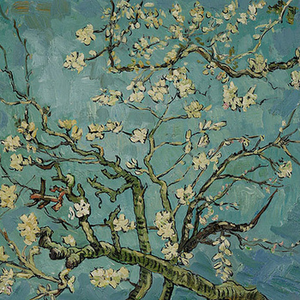 Spring Morning Flowers