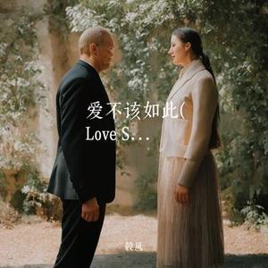 爱不该如此 (Love Shouldn't Be Like This)