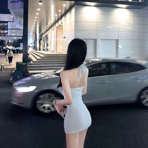 武家坡2024（DJ版）