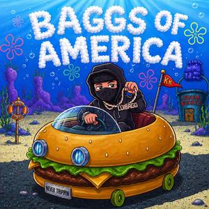 Baggs Of America