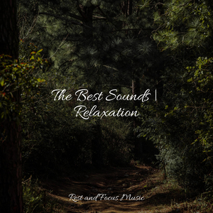 Thinking about Sheep