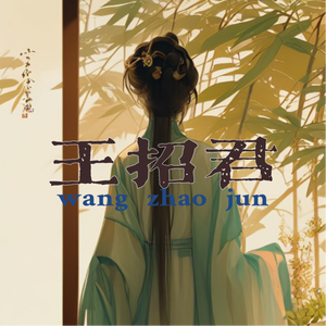王招君
