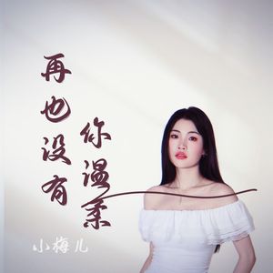 再也没有你温柔