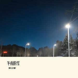 冬夜的雪