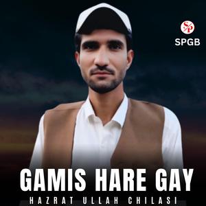 May Tus Mohobat Han (feat. Hazrat Ullah Chilasi)