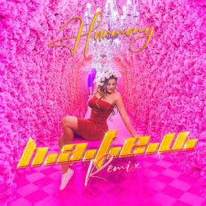 H.A.T.E.U. (Remix)