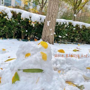 又是一首未命名的歌 demo