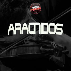 Aracnidos