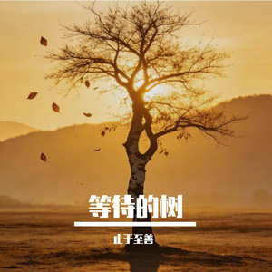 等待的树