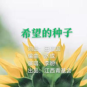 希望的种子 伴奏