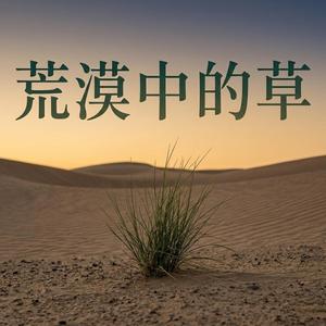 荒漠中的草