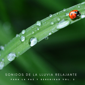 Noche Lluviosa Para Dormir