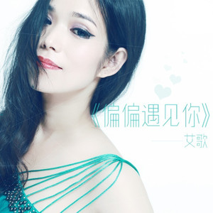 偏偏遇见你 (DJ小鹏鬼步版)