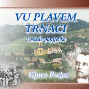 Vu plavem ternaci
