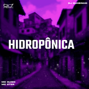 Hidroponica