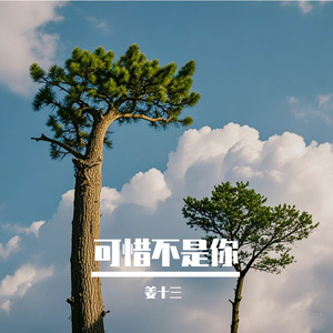 可惜不是你 伴奏