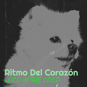 Ritmo Del Corazón
