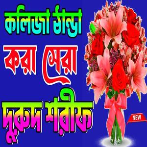 নবীজির প্রেমের সেরা দুরুদ শরীফ #দুরুদ_শরীফ Durood sharif বাংলা দুরুদ শরীফ 2024 #durood_sharif
