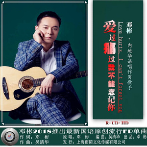 爱过痛过我不能忘记你