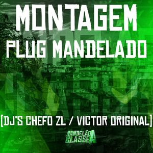 Montagem Plug Mandelado