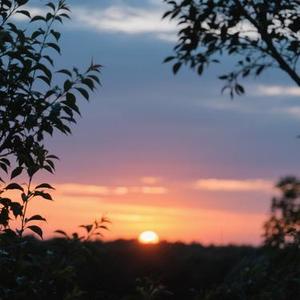 稳稳的幸福 (Cover 陈奕迅)