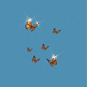 "破碎"(prod. ZnSO x Wybsko)