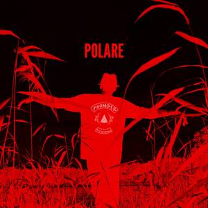 Polare