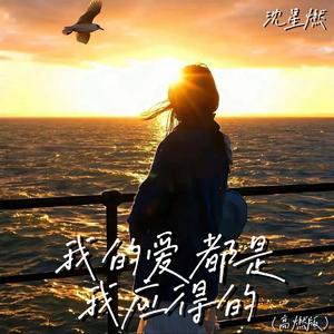 我的爱都是我应得的(高燃版)