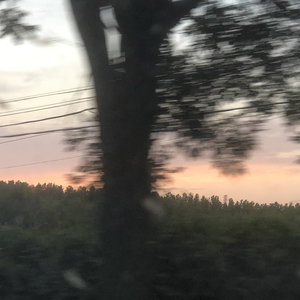 恋爱循环（英文版）