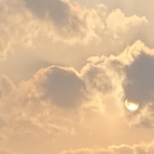 我要回到风里了 【cover：愚青】