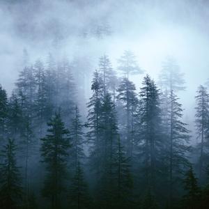 《钢琴跃动唤醒旅途欢悦》