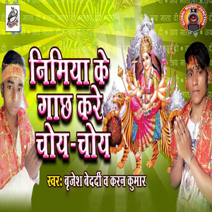 Singh Sawari Karke Aaiha Maiya Ji