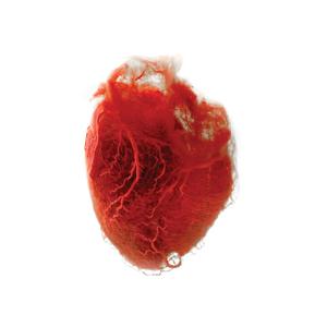 Don't Be Afraid, You're Already Dead