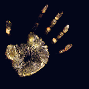 历经沧桑后的回响