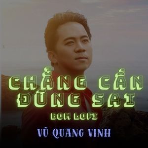 Chẳng Cần Đúng Sai (Bom Lofi)