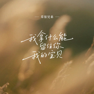 我拿什么能留住你我的宝贝 (DJHZ版)