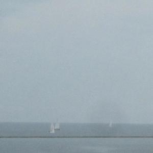 pink see-through fantasia